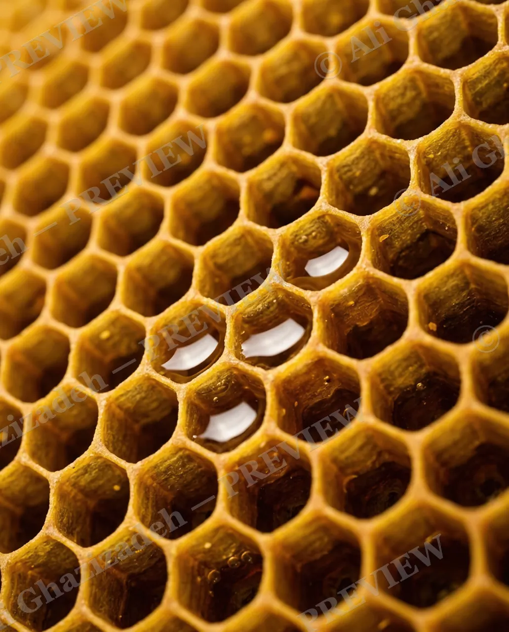 Sweet Beginnings — Drops of Gold — Honey bee artwork by Ali Ghazizadeh
