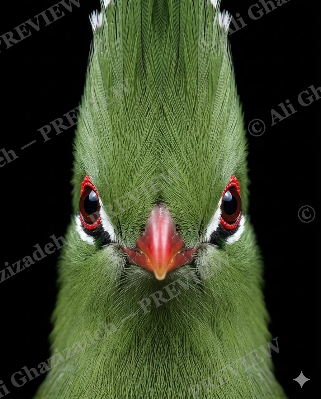 Crowning Glory — The Green Stare — Pheasant artwork by Ali Ghazizadeh