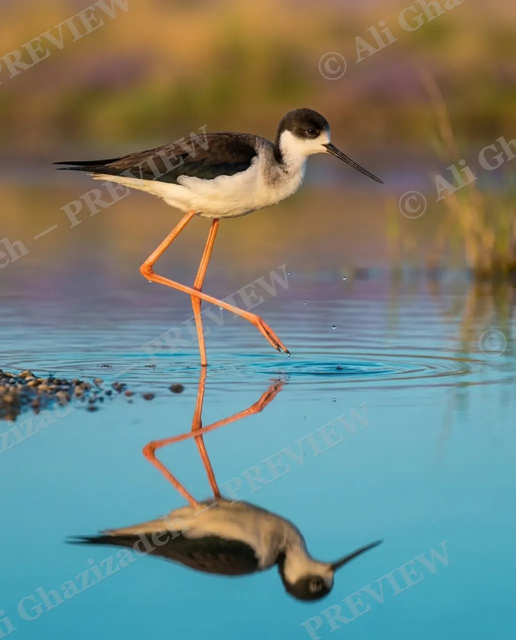 Double Take — Mirror Step — Stilt artwork by Ali Ghazizadeh