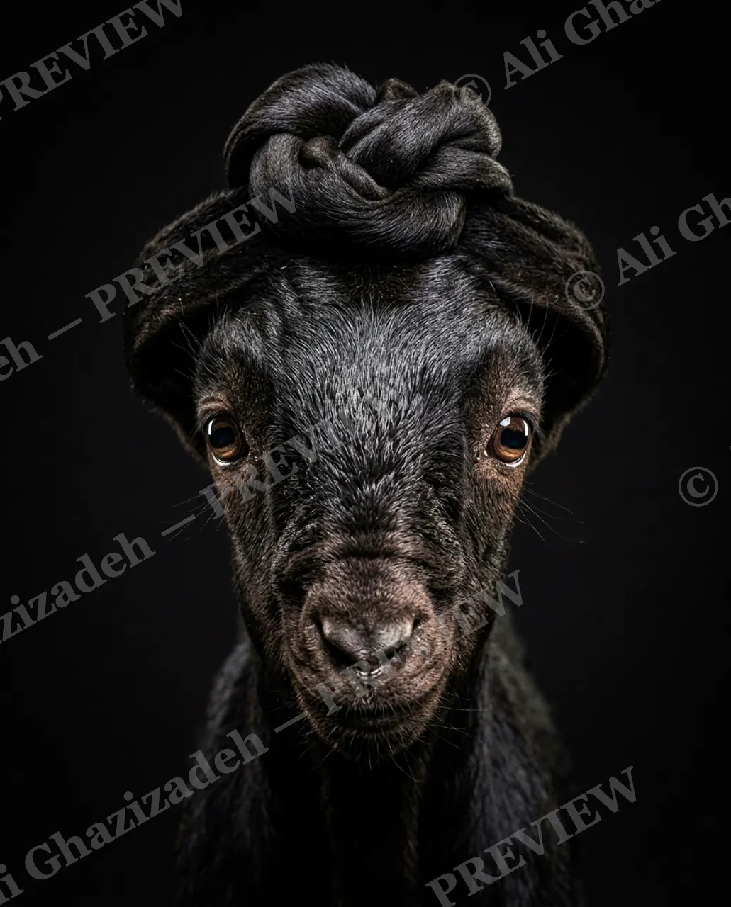 Ear Apparent — First Attempt at a Bun — Goat artwork by Ali Ghazizadeh