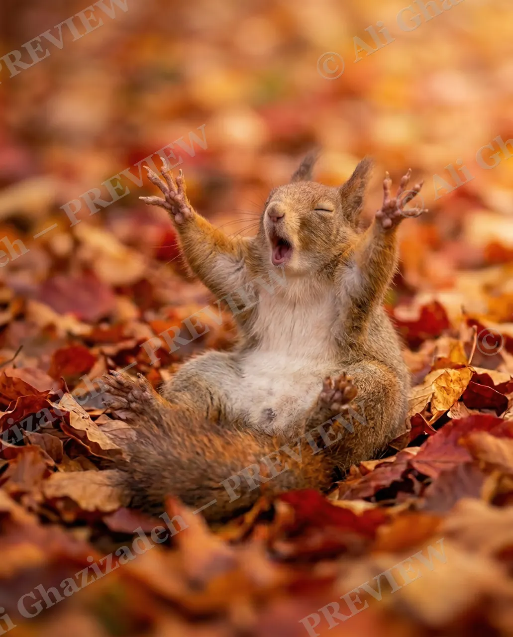 Not a Morning Squirrel — Big Yawn — Tree squirrel artwork by Ali Ghazizadeh