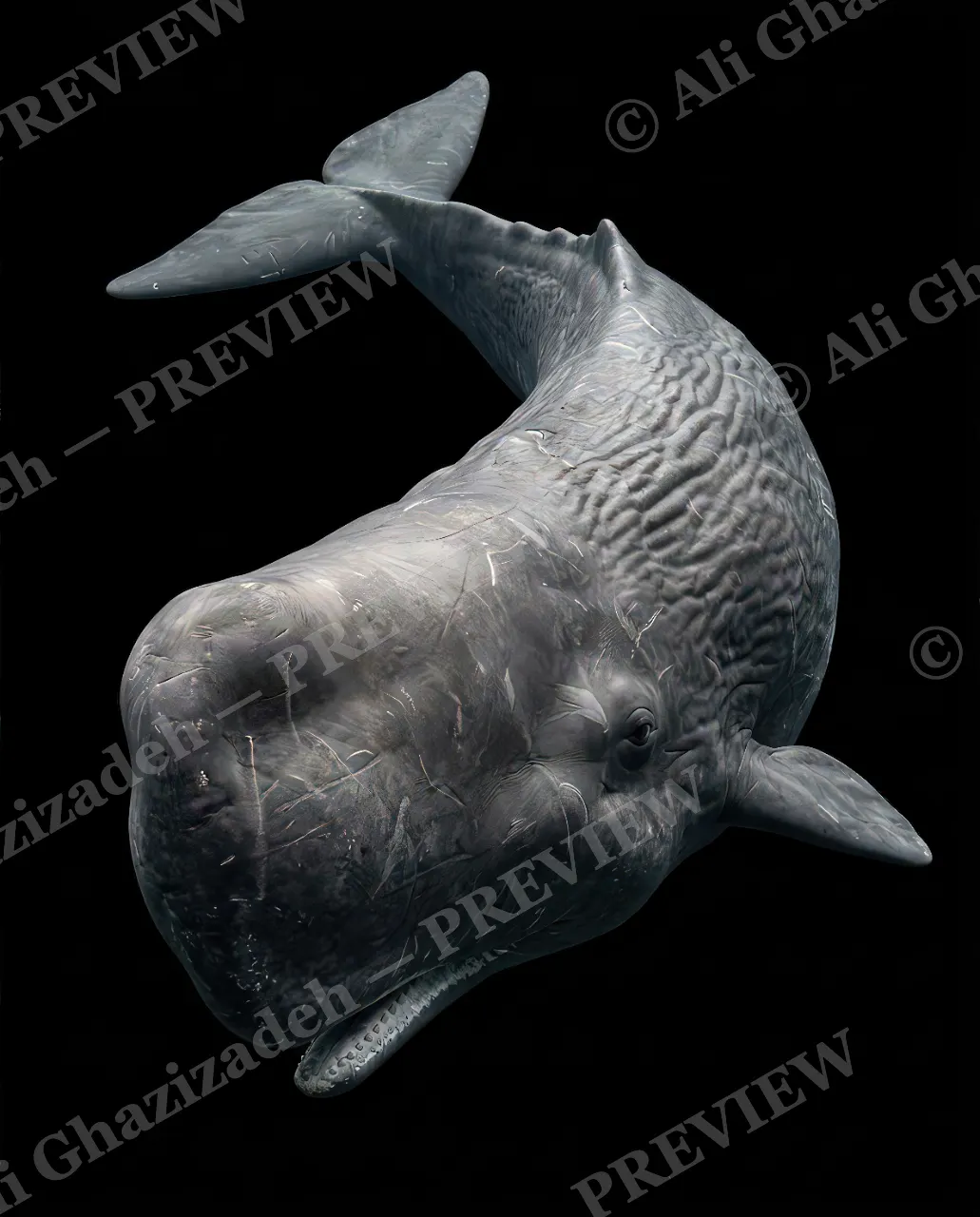 Giants of the Deep — Deep Diver — Great white shark artwork by Ali Ghazizadeh