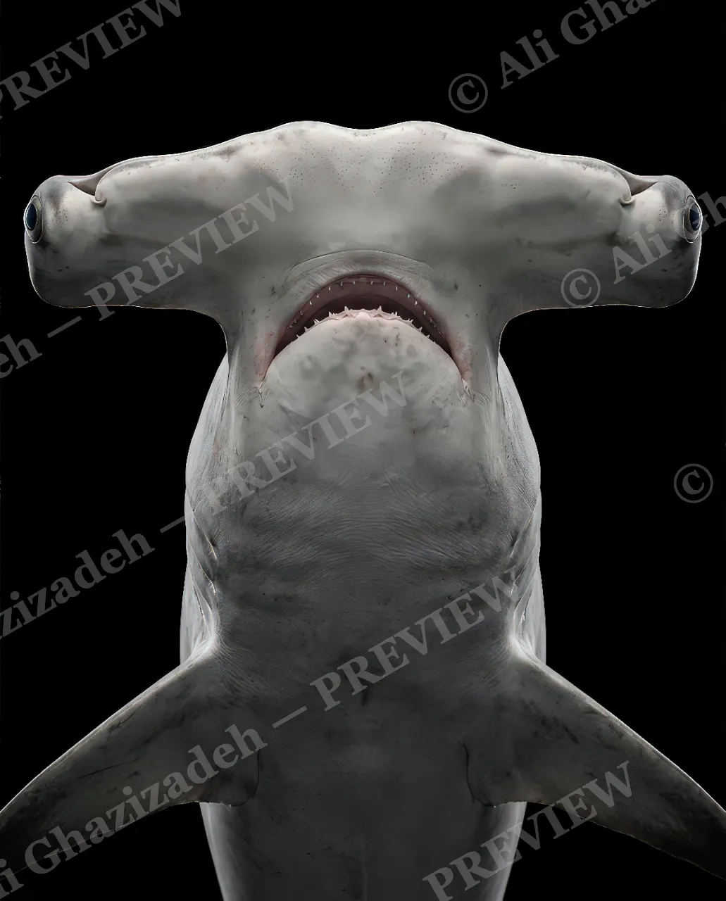 Giants of the Deep — Full Width — Great white shark artwork by Ali Ghazizadeh
