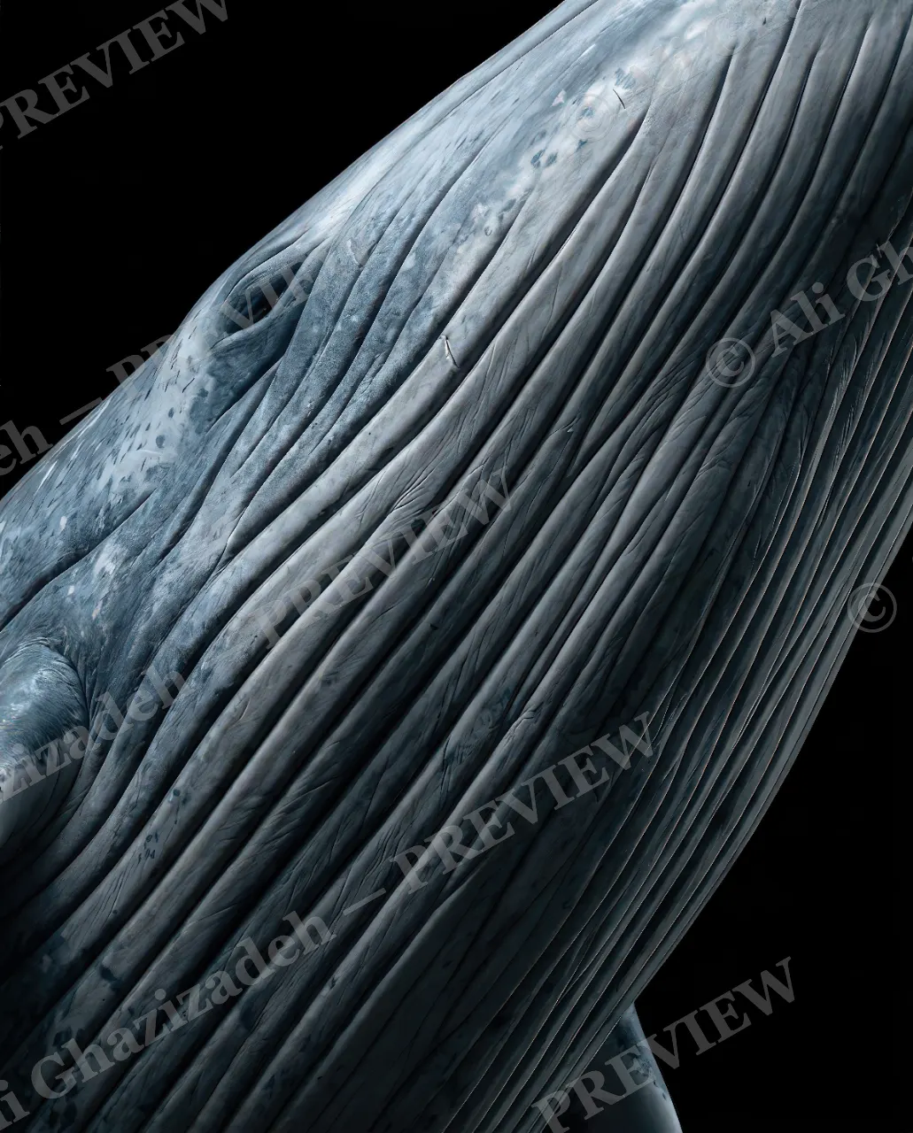 Giants of the Deep — Pleated Perfection — Great white shark artwork by Ali Ghazizadeh