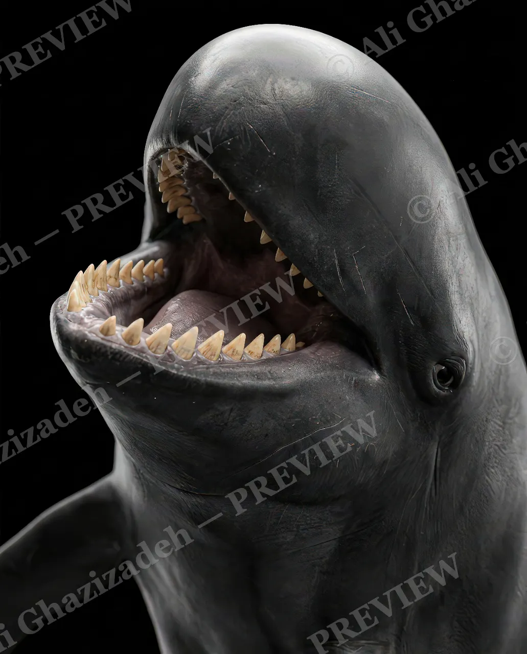 Giants of the Deep — Say Ahh — Great white shark artwork by Ali Ghazizadeh