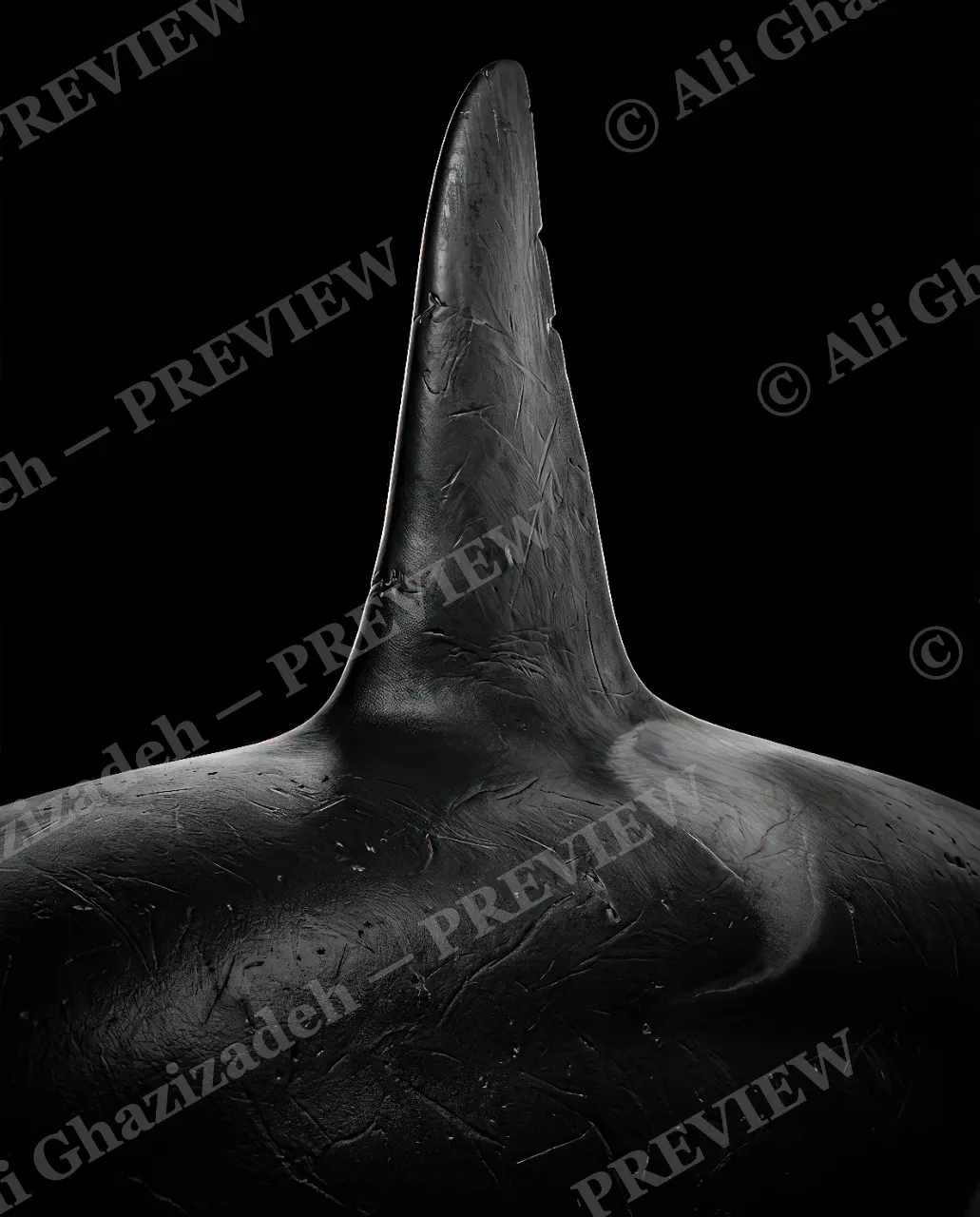 Giants of the Deep — Standing Tall — Great white shark artwork by Ali Ghazizadeh