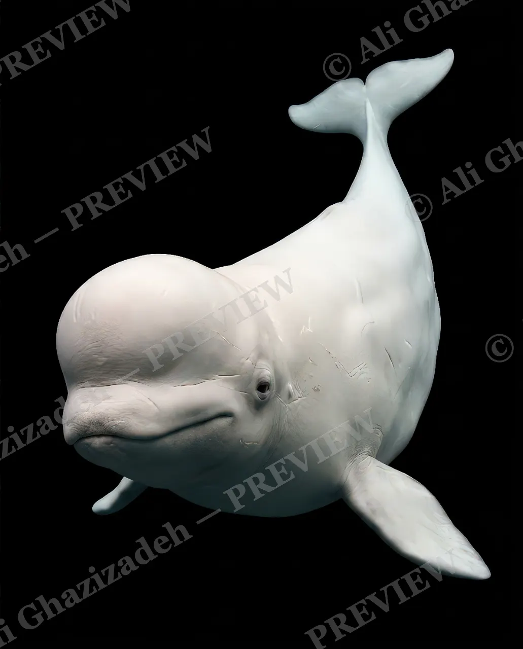 Giants of the Deep — The Sea Canary — Great white shark artwork by Ali Ghazizadeh