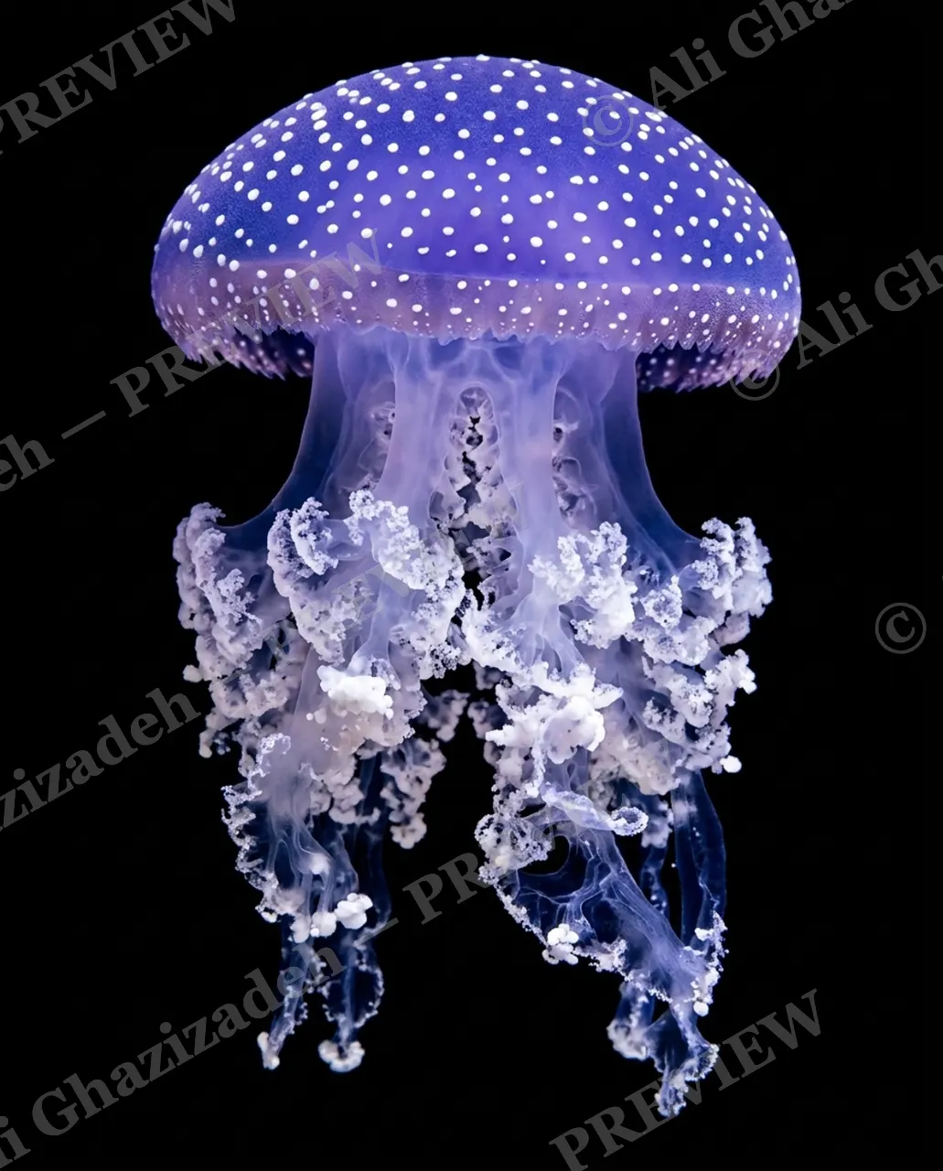 Glass Bloom — Frosted Violet — Moon jellyfish artwork by Ali Ghazizadeh