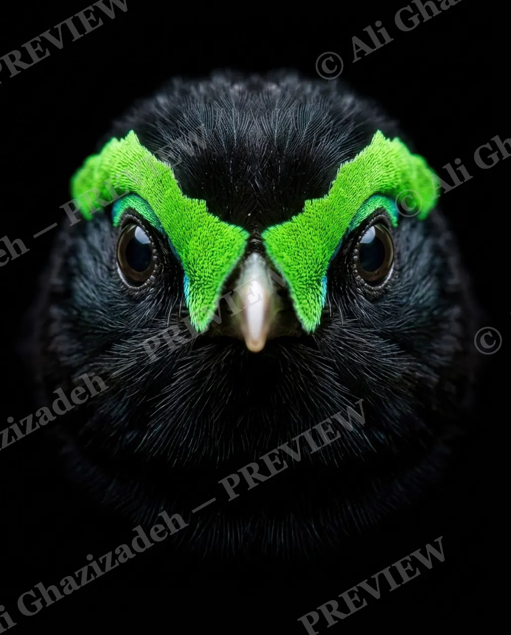Green With Envy — Green Mask — Bird artwork by Ali Ghazizadeh