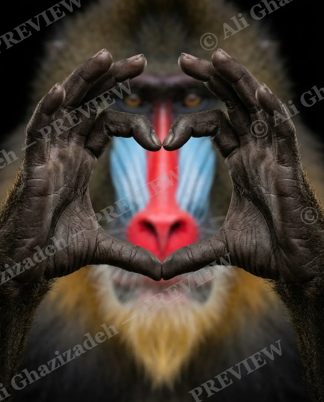 Hand on Heart — Hand on Heart — Mandrill artwork by Ali Ghazizadeh