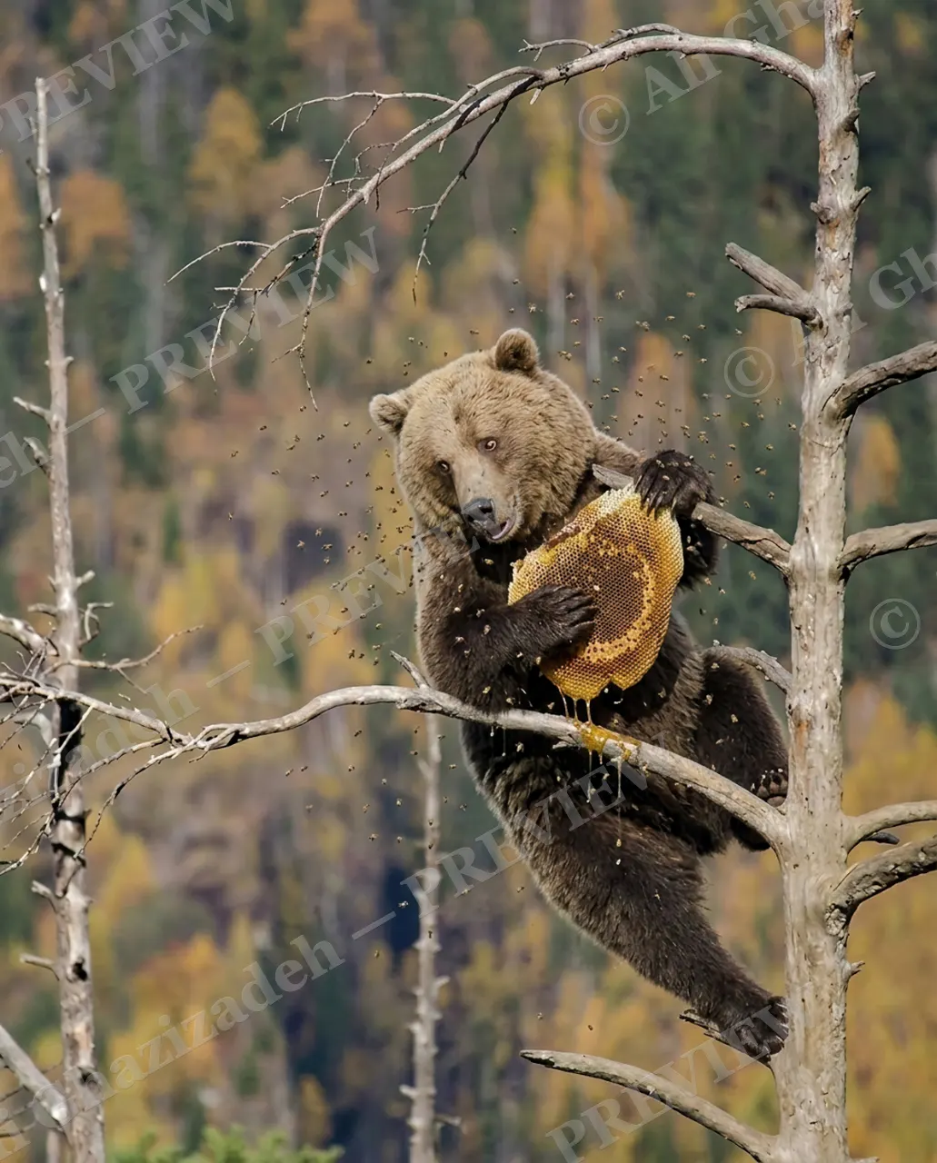 Honey Heist — Prize Secured — Brown bear artwork by Ali Ghazizadeh