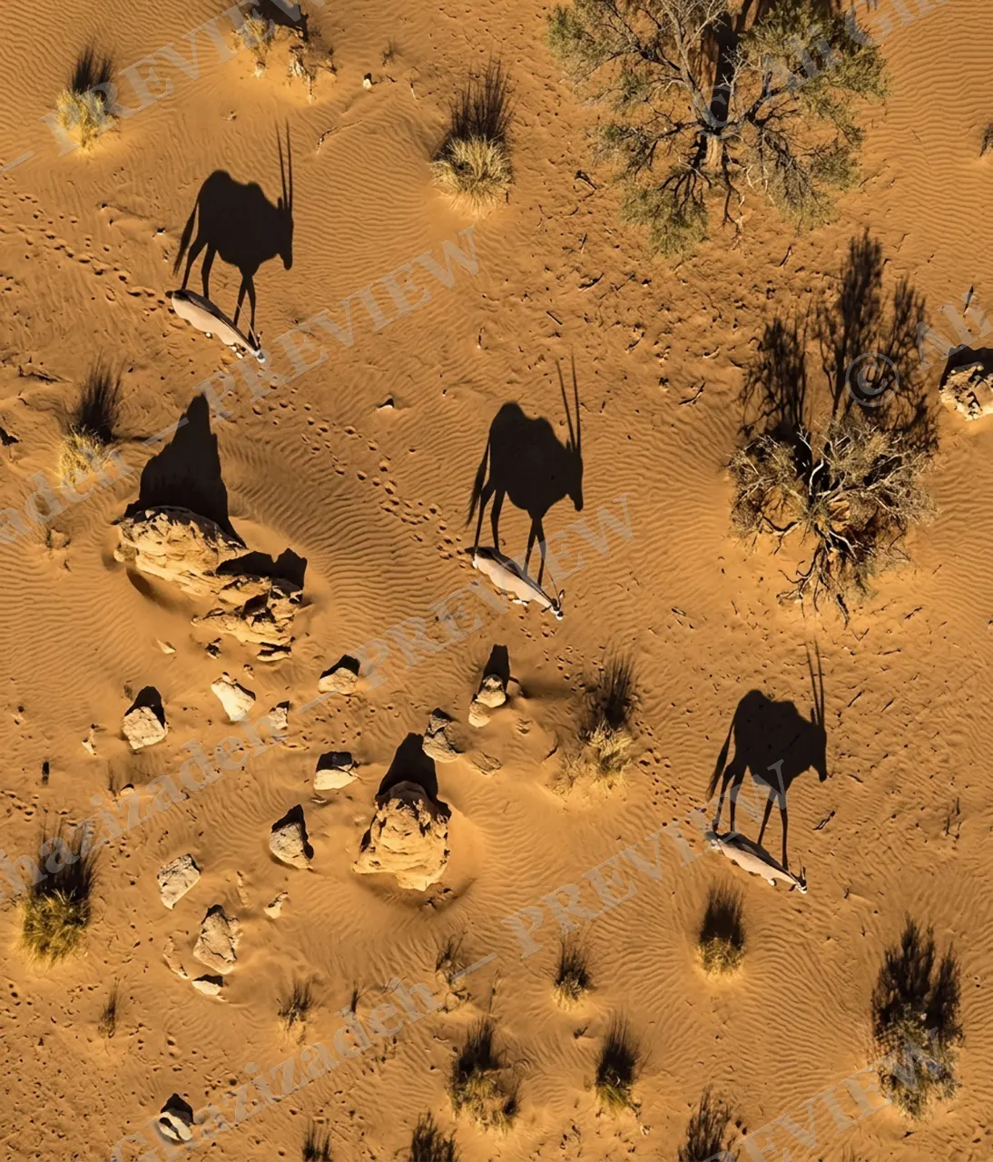 Long Story Short — Oryx Among Rocks Once More — Plains zebra artwork by Ali Ghazizadeh