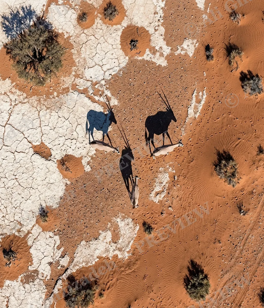 Long Story Short — Oryx Trio, Revisited — Plains zebra artwork by Ali Ghazizadeh