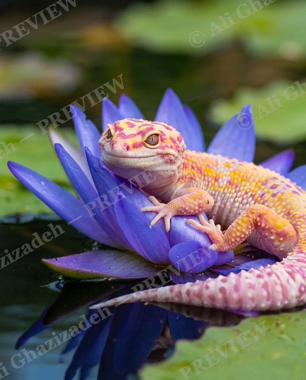 Lounge Lizard — Throne of Petals — Leopard gecko artwork by Ali Ghazizadeh