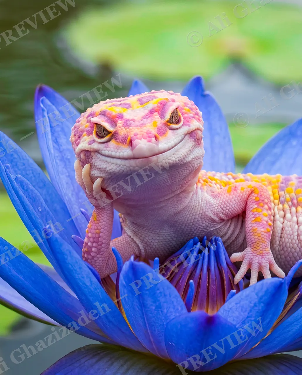 Lounge Lizard — Striking a Pose — Leopard gecko artwork by Ali Ghazizadeh