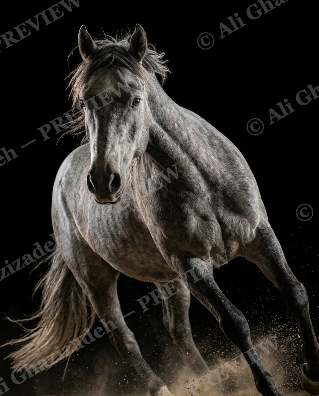 Mane Attraction — Galloping Through Dust — Horse artwork by Ali Ghazizadeh
