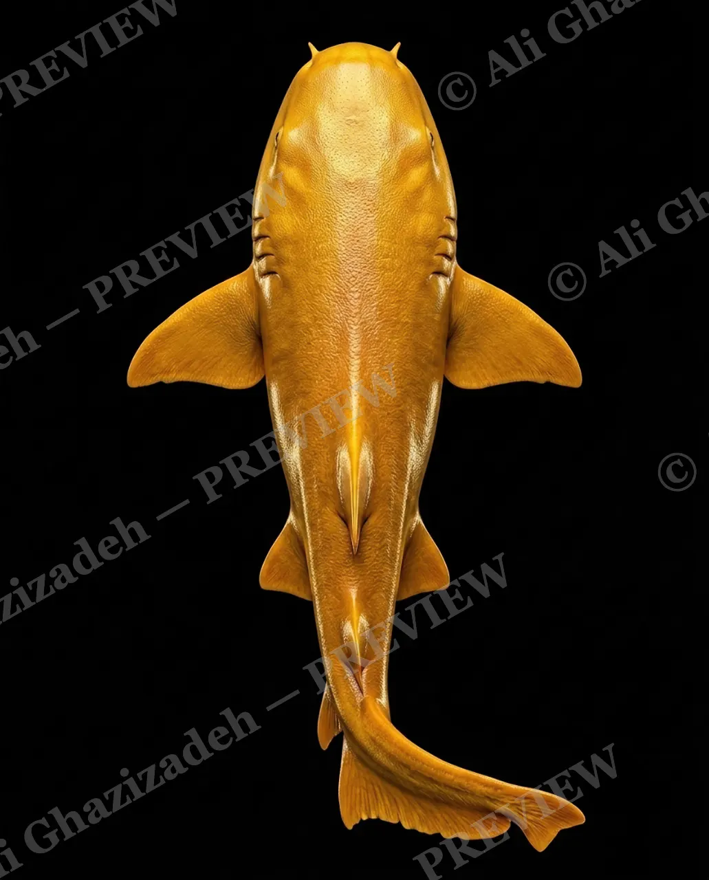 Solid Gold — Full Body Shine — Nurse shark artwork by Ali Ghazizadeh