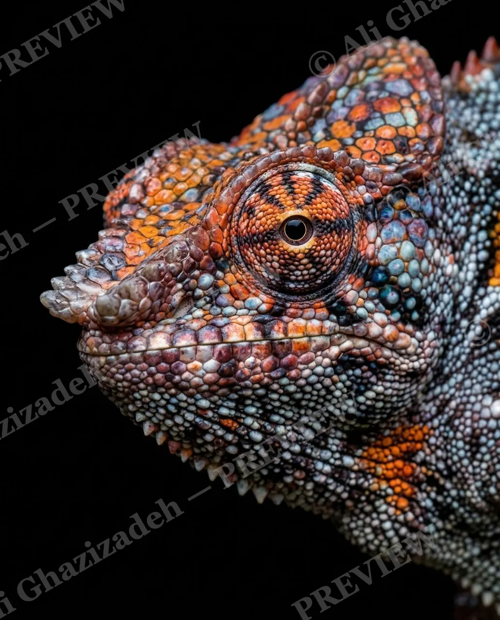 Mood Ring — Autumn Mosaic — Chameleon artwork by Ali Ghazizadeh