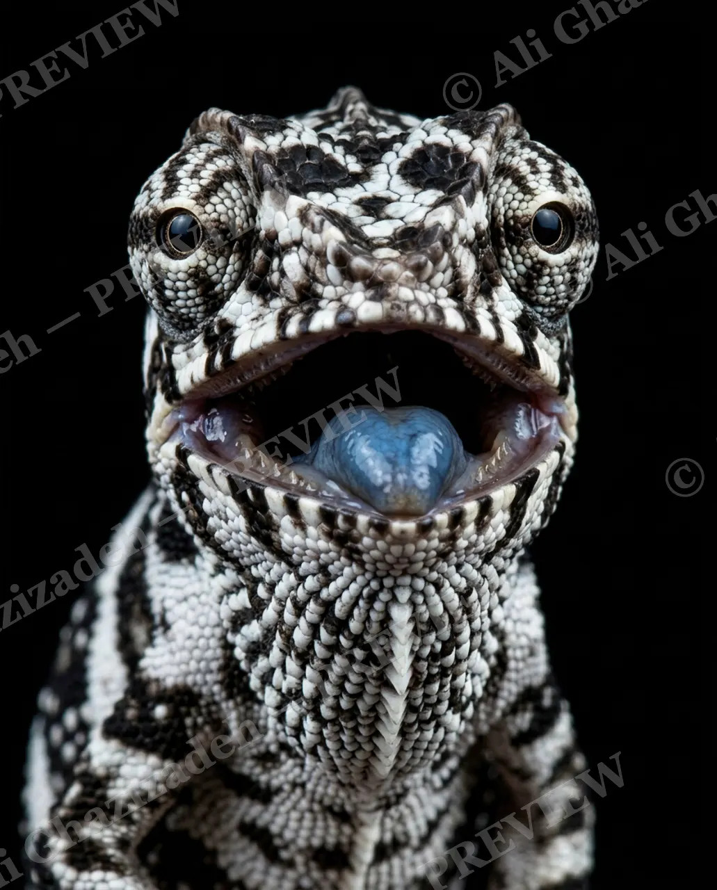 Mood Ring — Big Blue Yawn — Chameleon artwork by Ali Ghazizadeh