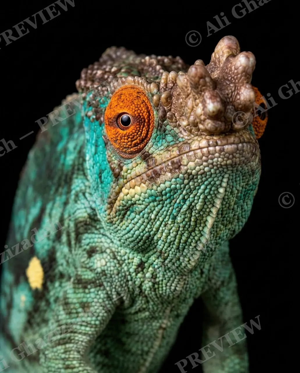 Mood Ring — Copper-Rimmed Eye — Chameleon artwork by Ali Ghazizadeh