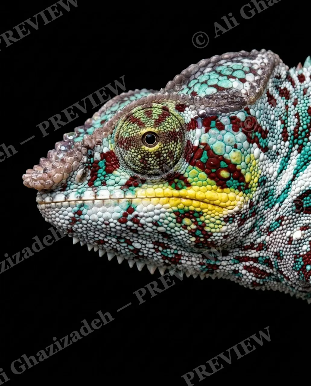 Mood Ring — Jewel Tone Profile — Chameleon artwork by Ali Ghazizadeh