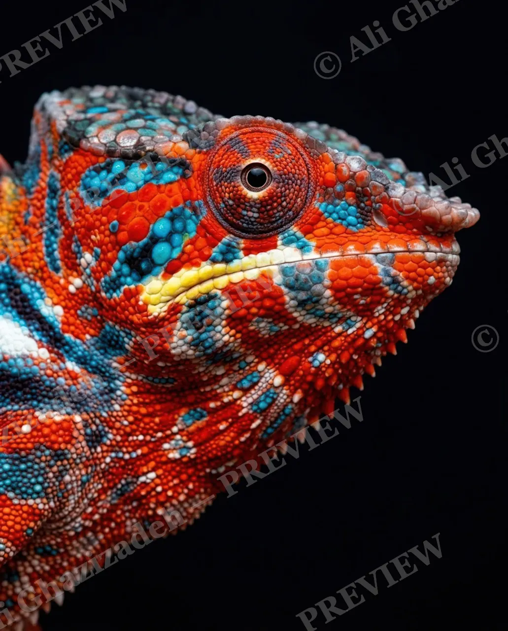 Mood Ring — Ember and Turquoise — Chameleon artwork by Ali Ghazizadeh