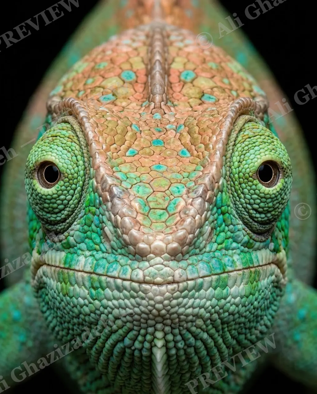 Mood Ring — Mirror Symmetry — Chameleon artwork by Ali Ghazizadeh