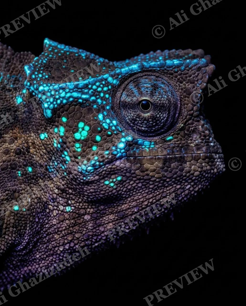 Mood Ring — Neon Nightfall — Chameleon artwork by Ali Ghazizadeh