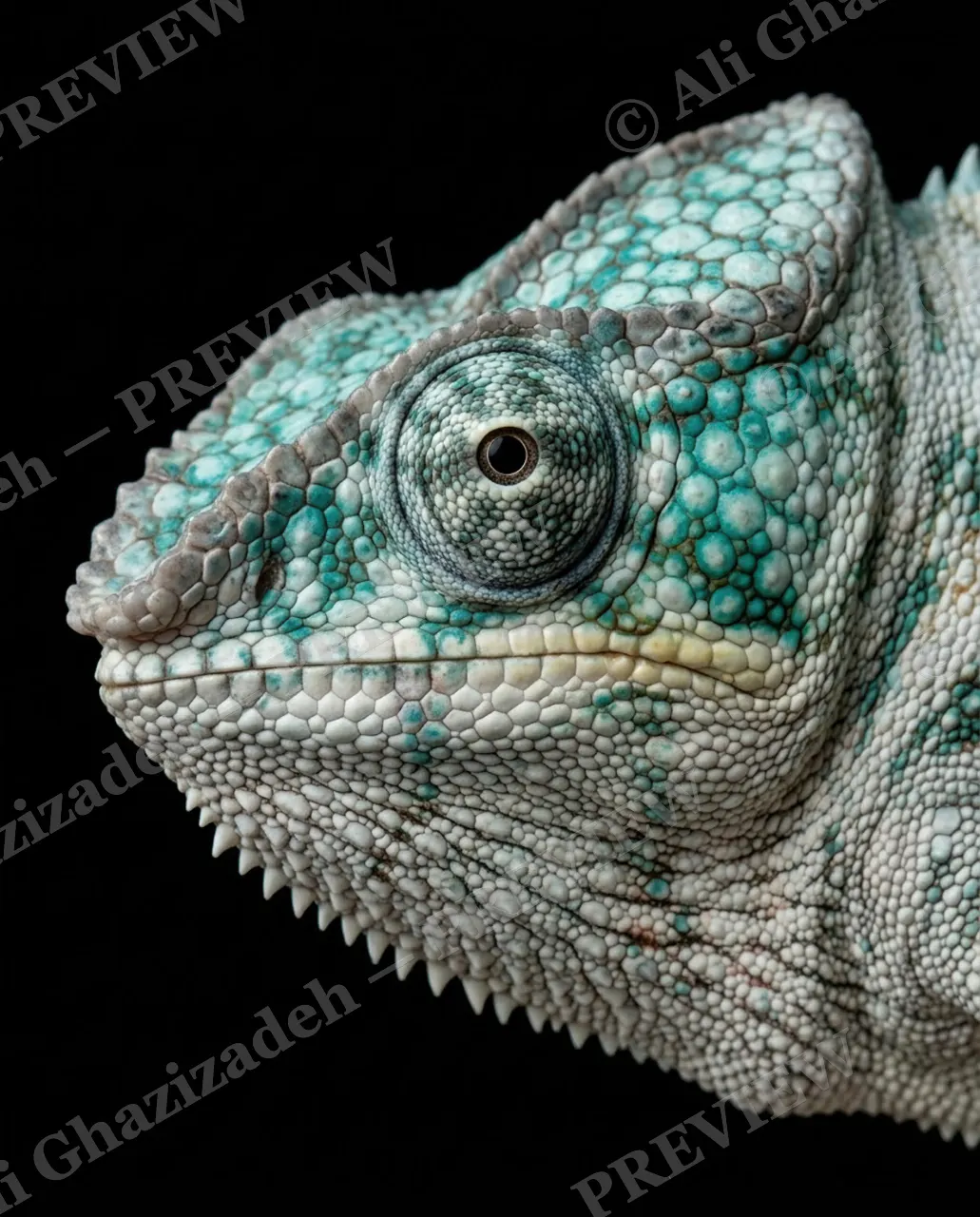 Mood Ring — Turquoise Calm — Chameleon artwork by Ali Ghazizadeh
