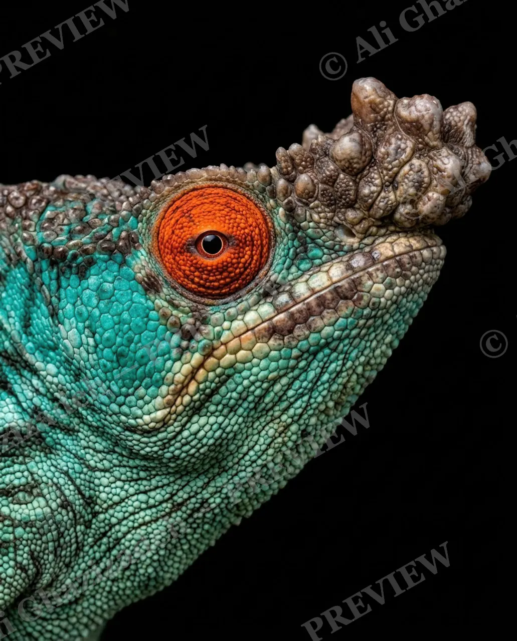 Mood Ring — Upward Turn — Chameleon artwork by Ali Ghazizadeh
