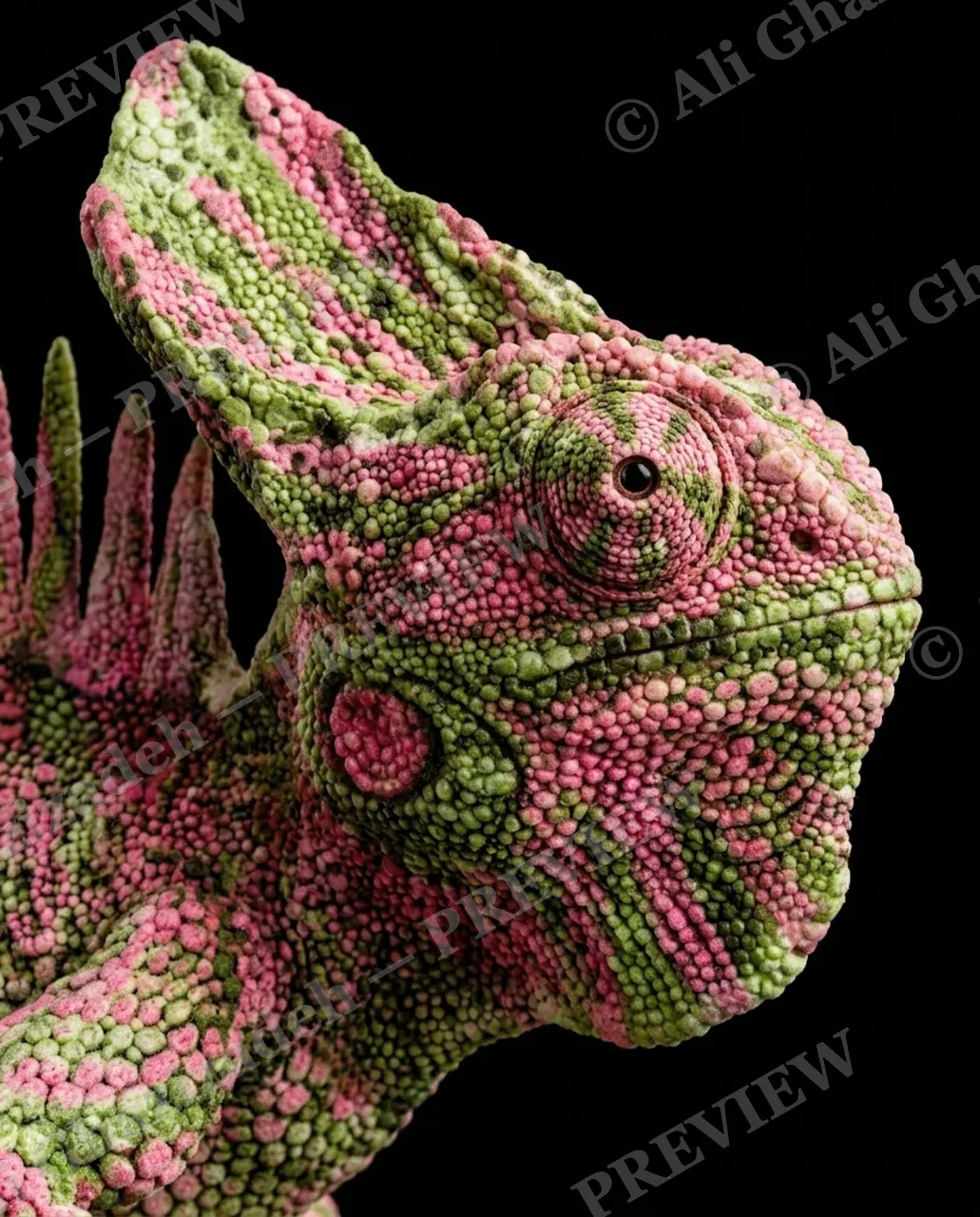Mood Ring — Watermelon Skin — Chameleon artwork by Ali Ghazizadeh