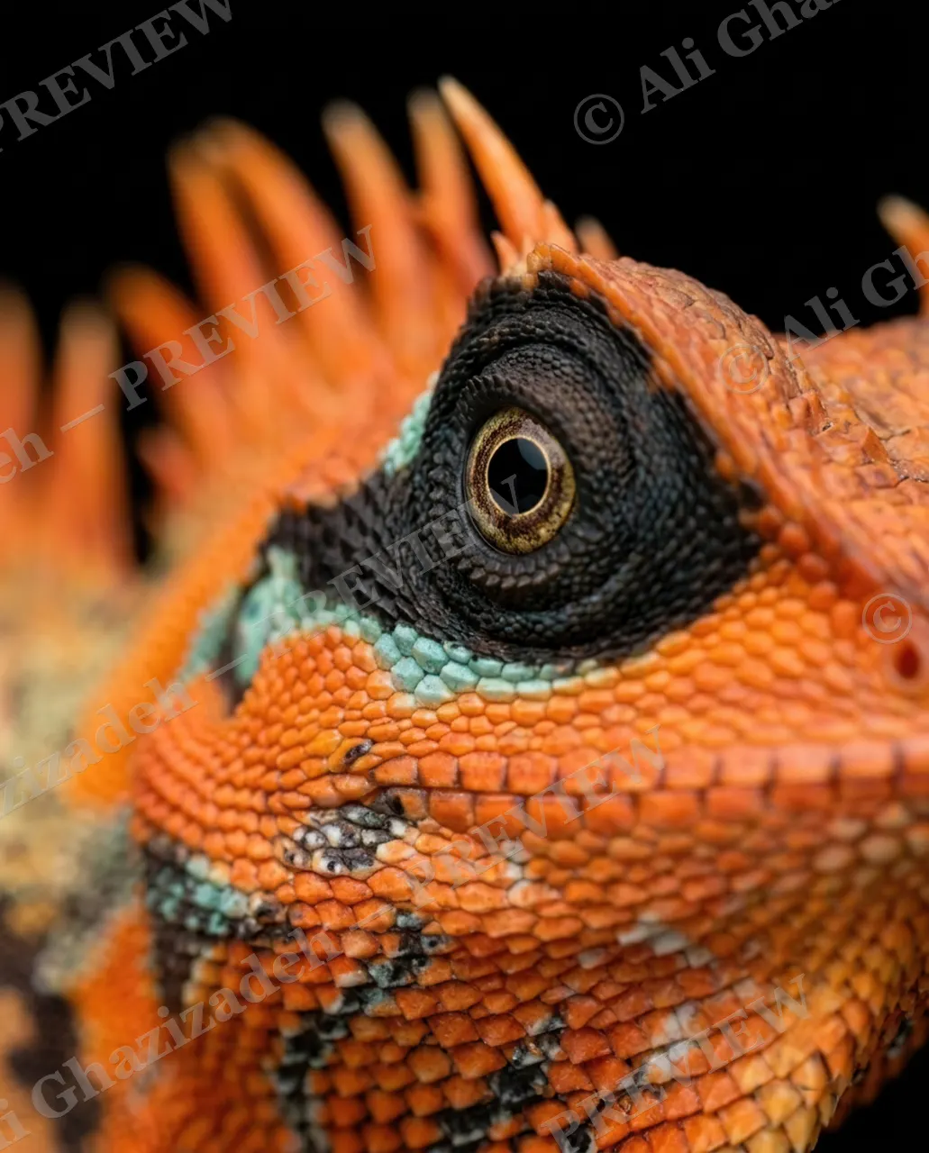Scale of Colors — Amber Eye — Green iguana artwork by Ali Ghazizadeh