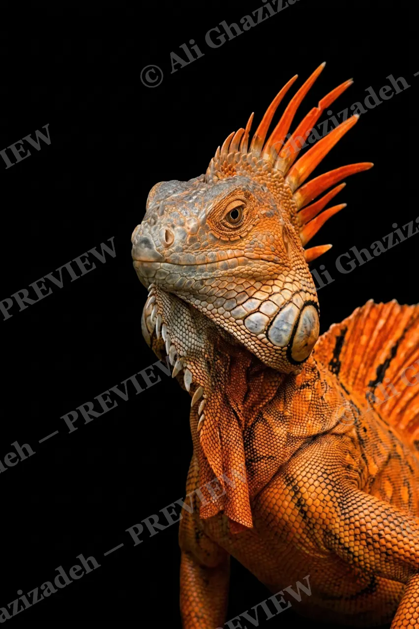 Scale of Colors — Blaze Crown — Green iguana artwork by Ali Ghazizadeh