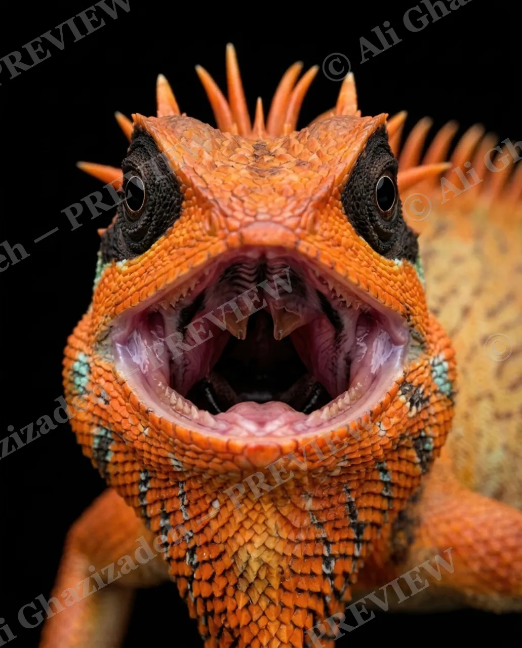 Scale of Colors — Blaze Roar — Green iguana artwork by Ali Ghazizadeh
