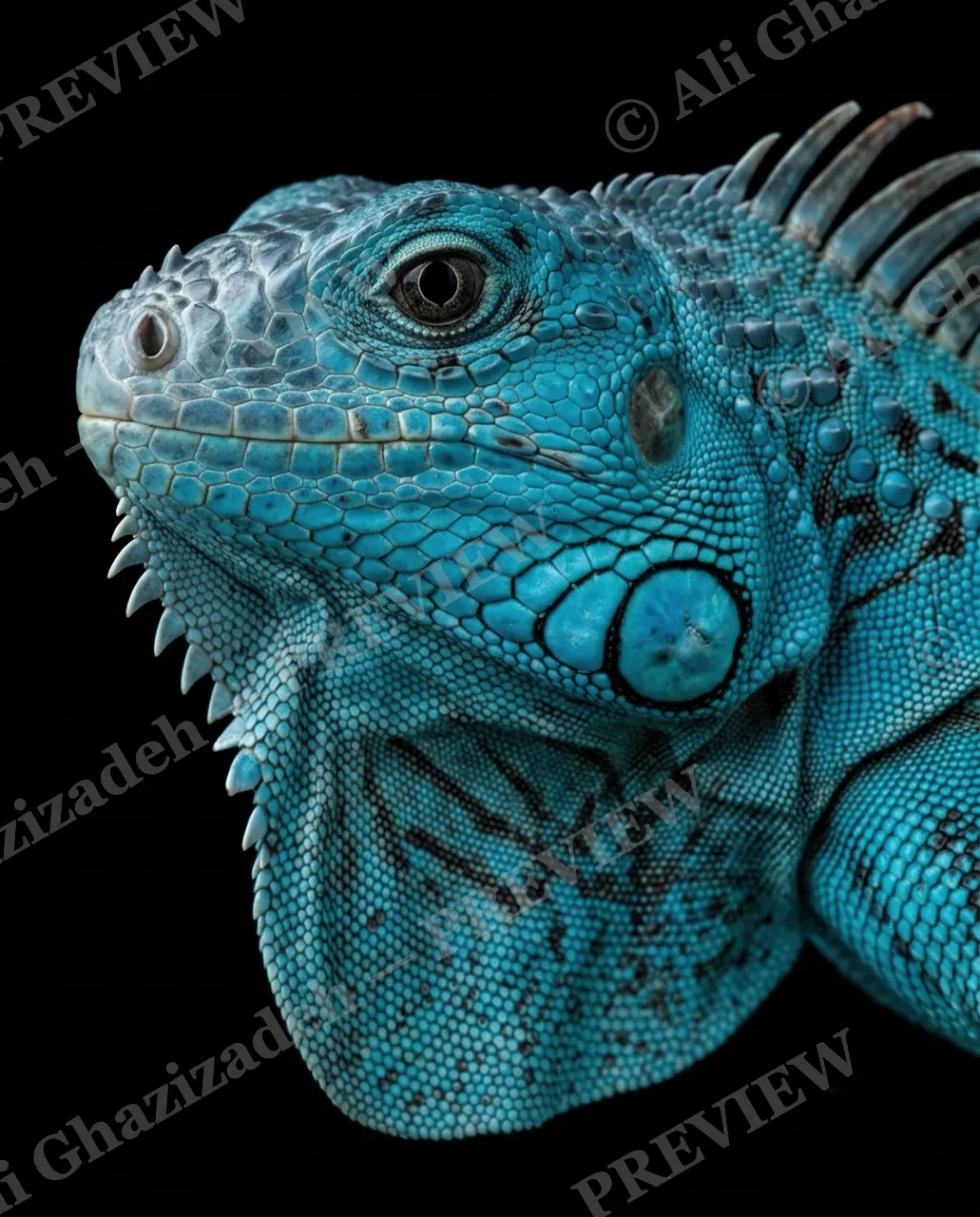 Scale of Colors — Cerulean Stare — Green iguana artwork by Ali Ghazizadeh
