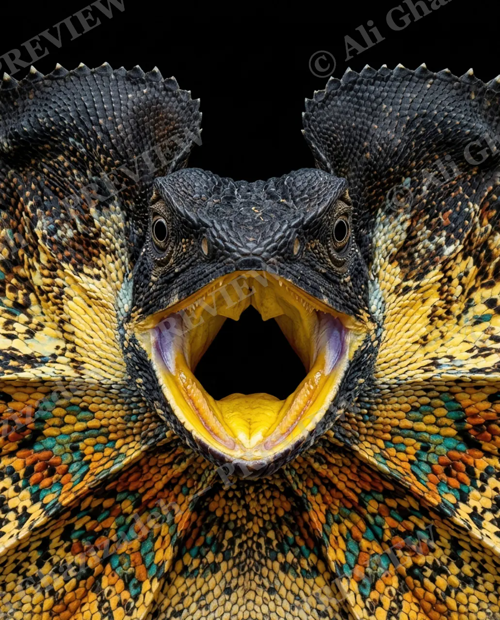 Scale of Colors — Charcoal Roar — Green iguana artwork by Ali Ghazizadeh