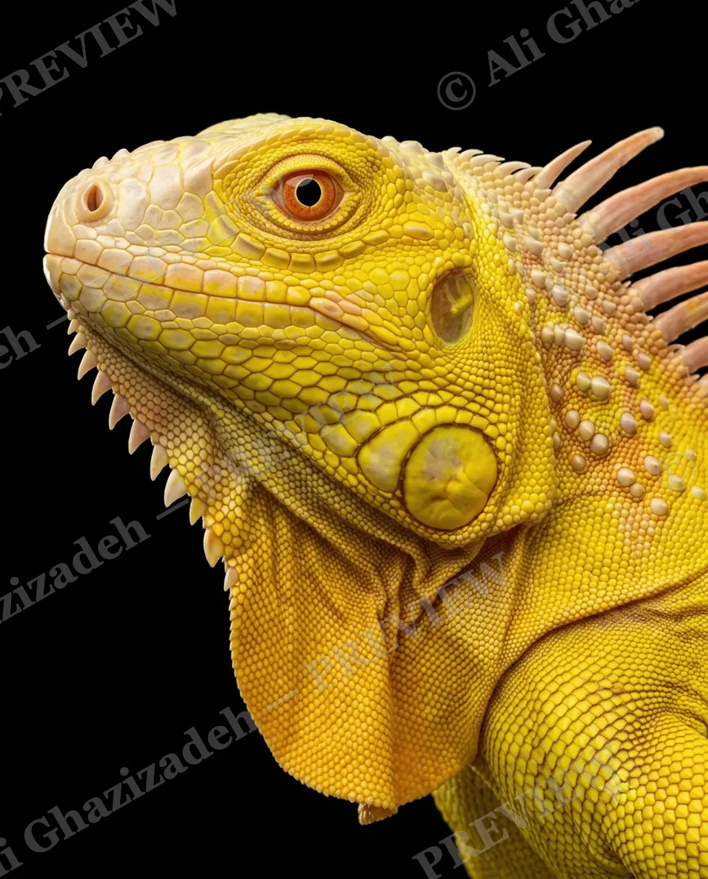 Scale of Colors — Citrine Glow — Green iguana artwork by Ali Ghazizadeh