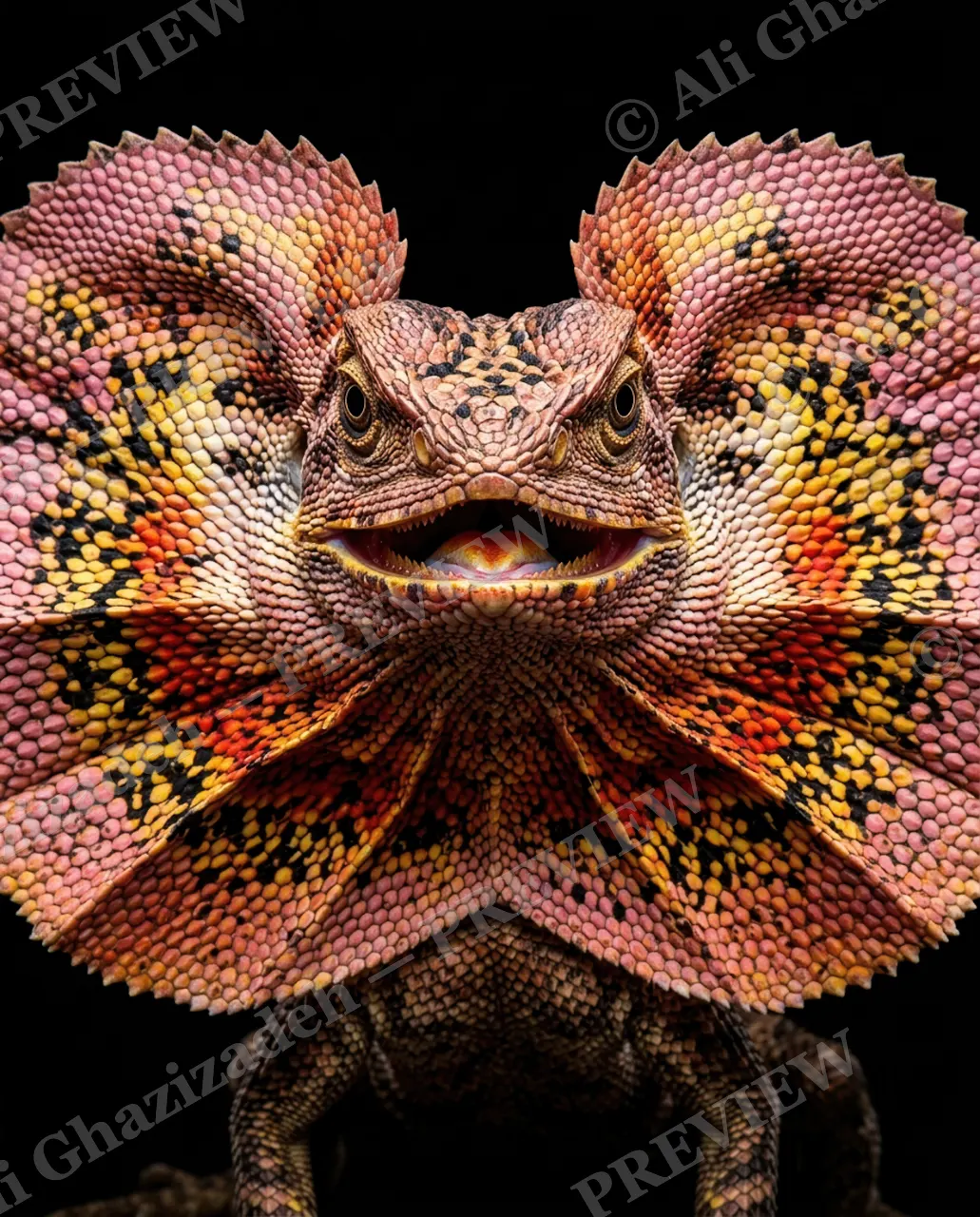 Scale of Colors — Coral Fan Display — Green iguana artwork by Ali Ghazizadeh