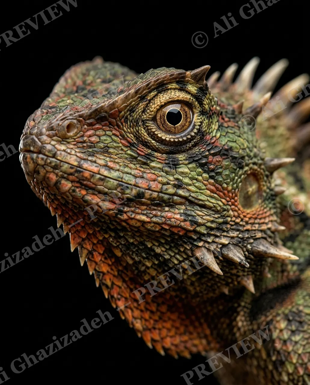 Scale of Colors — Ember Watch — Green iguana artwork by Ali Ghazizadeh