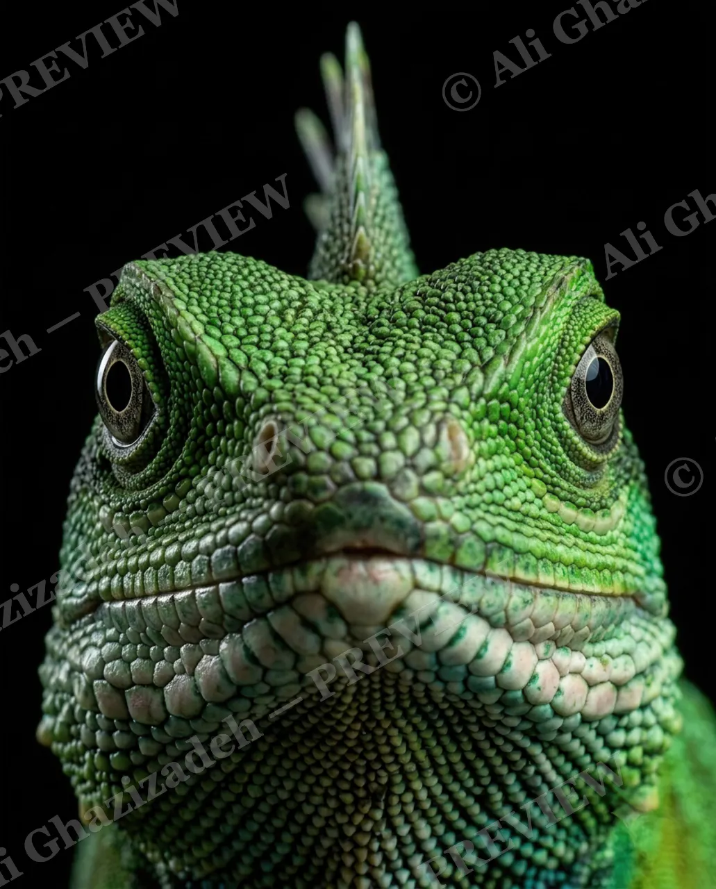 Scale of Colors — Emerald Stare — Green iguana artwork by Ali Ghazizadeh