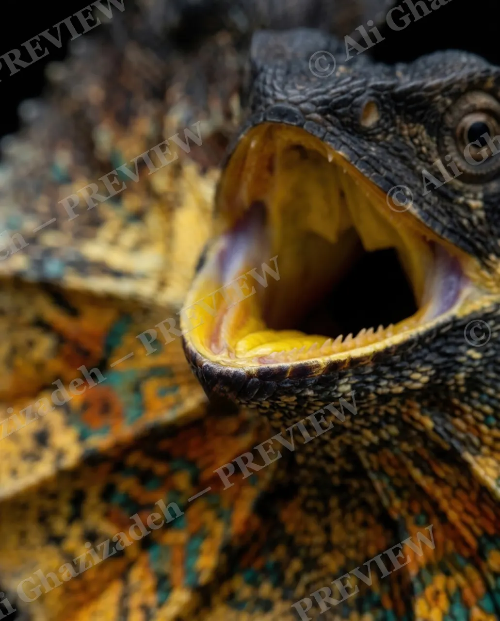 Scale of Colors — Fire Yawn — Green iguana artwork by Ali Ghazizadeh