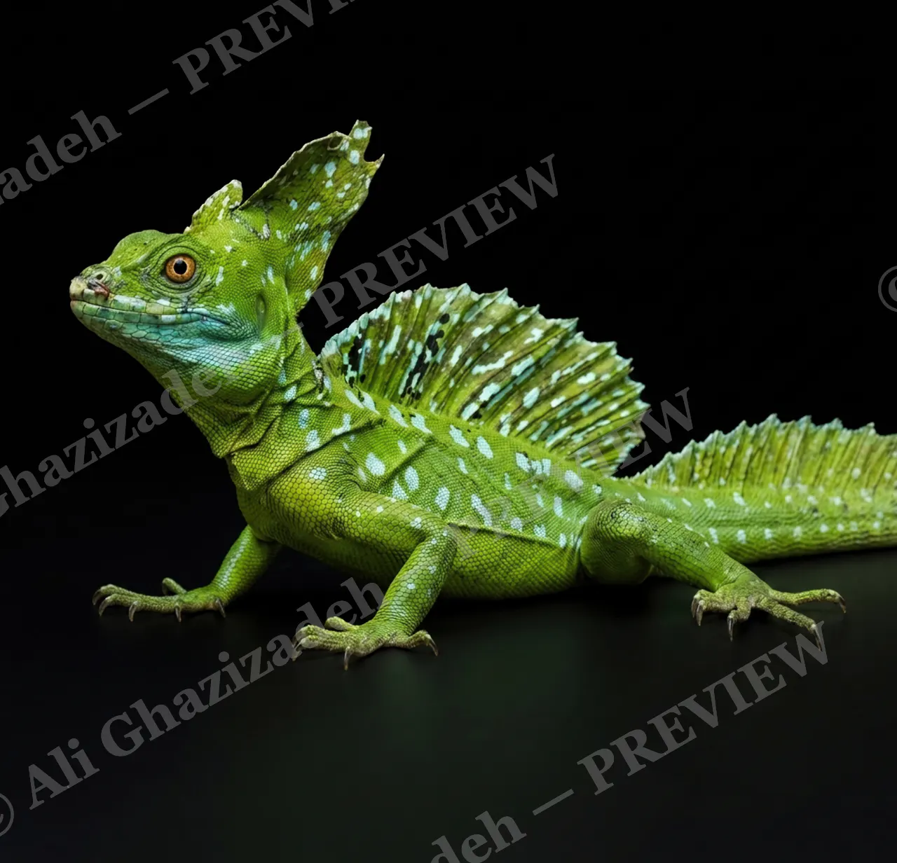 Scale of Colors — Jade Wanderer — Green iguana artwork by Ali Ghazizadeh