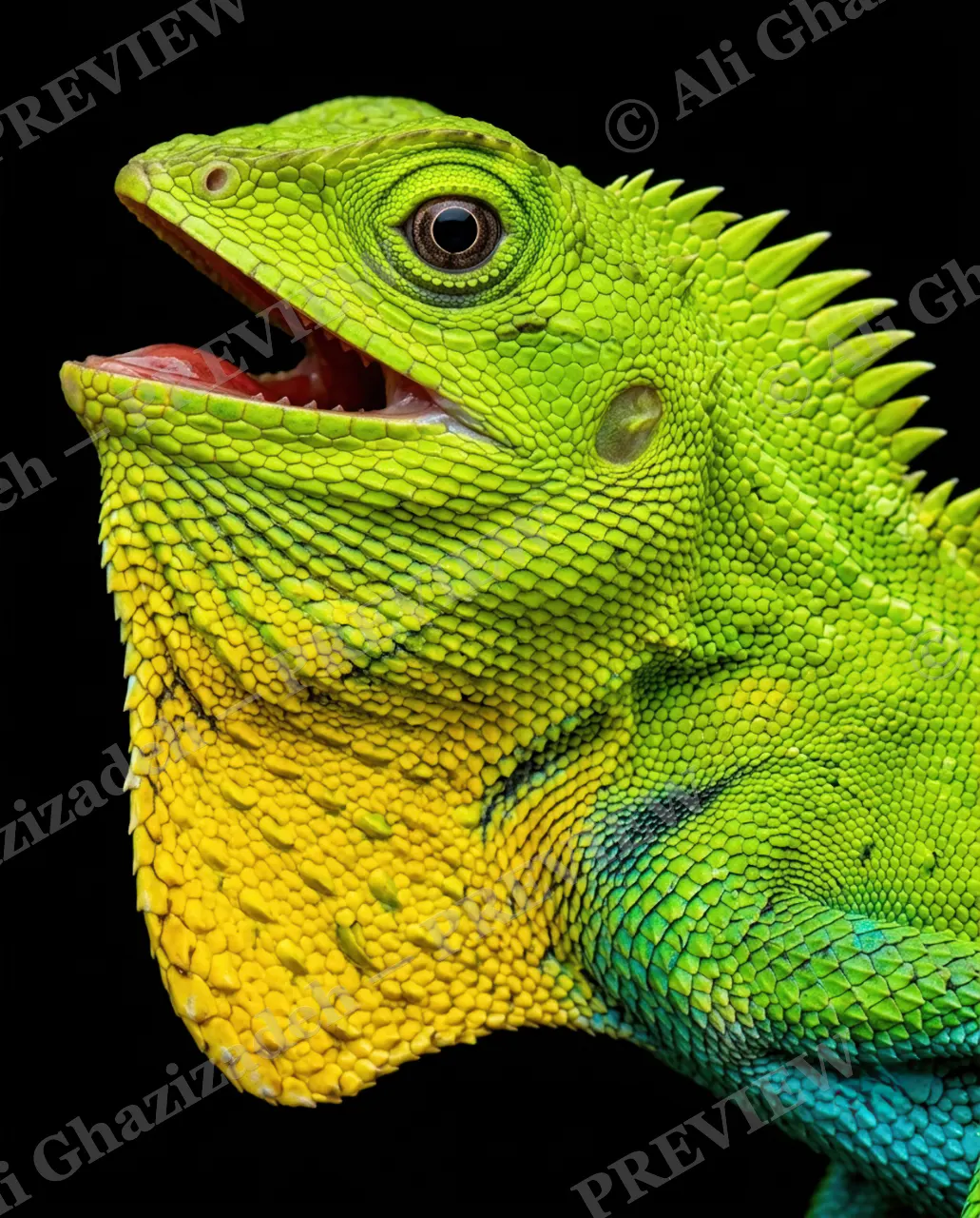 Scale of Colors — Lime Grin — Green iguana artwork by Ali Ghazizadeh