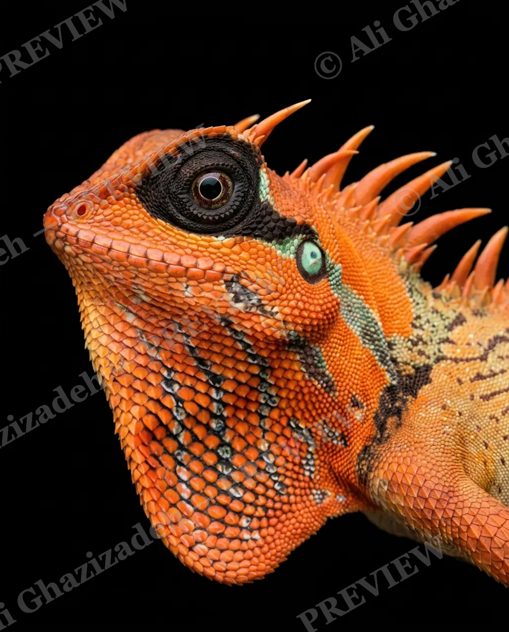 Scale of Colors — Copper Gaze — Green iguana artwork by Ali Ghazizadeh