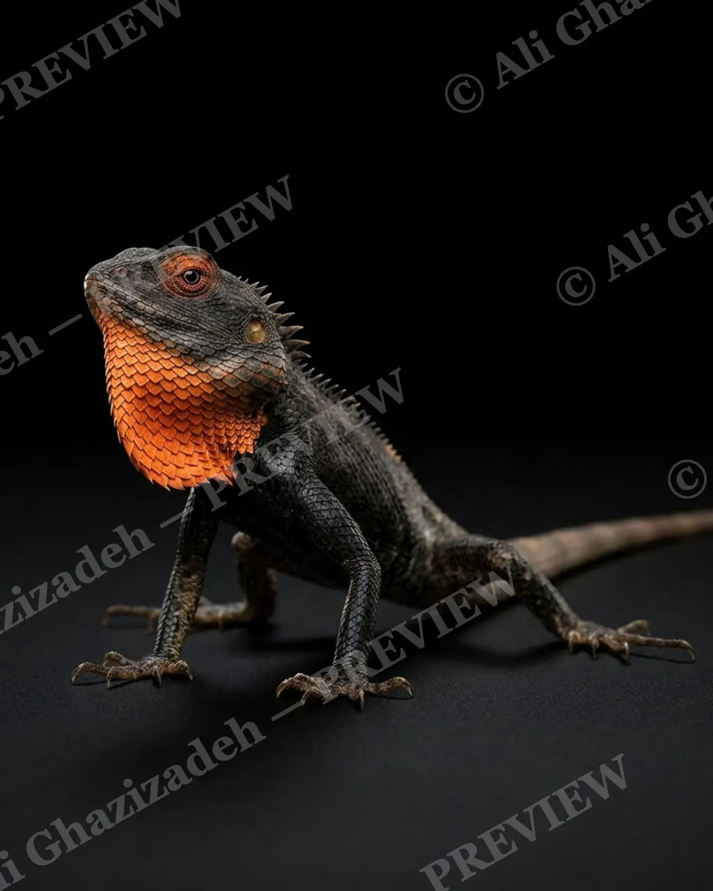 Scale of Colors — Midnight Ember — Green iguana artwork by Ali Ghazizadeh