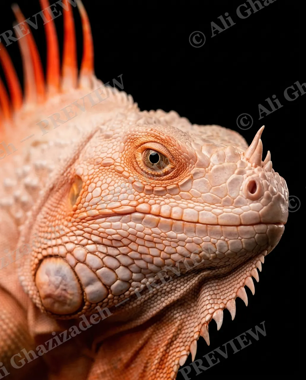 Scale of Colors — Peach Ember — Green iguana artwork by Ali Ghazizadeh
