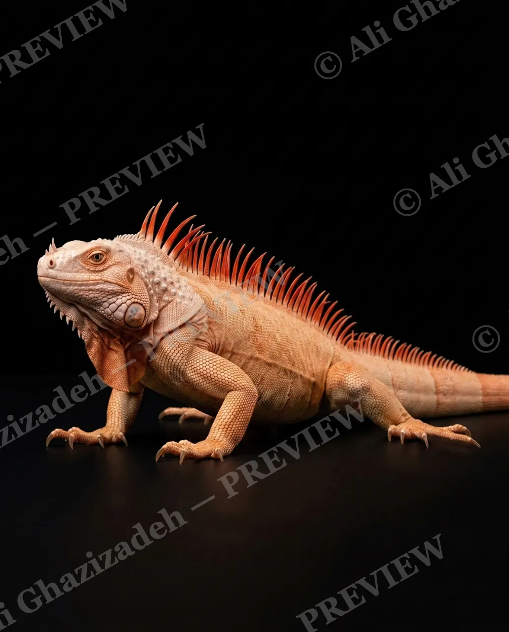 Scale of Colors — Peach Stride — Green iguana artwork by Ali Ghazizadeh