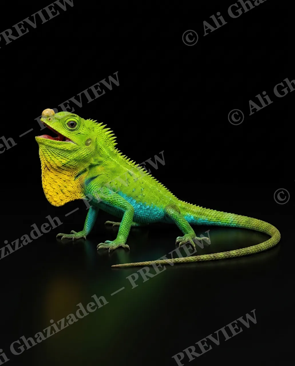 Scale of Colors — Rainbow Step — Green iguana artwork by Ali Ghazizadeh
