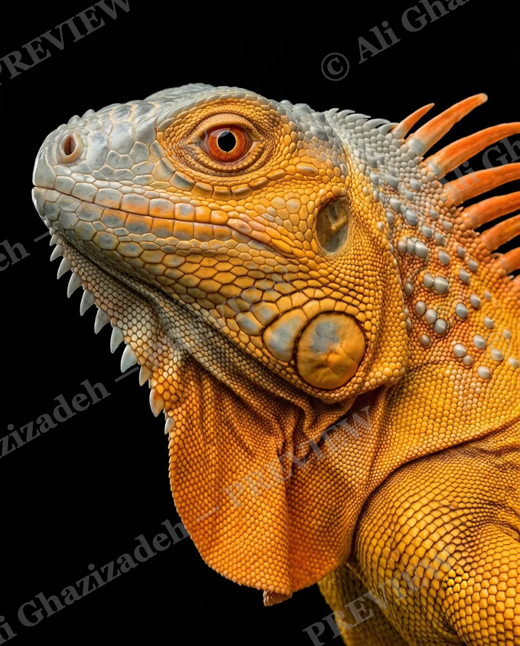 Scale of Colors — Sunset Profile — Green iguana artwork by Ali Ghazizadeh