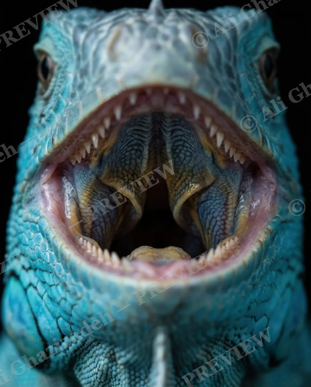 Scale of Colors — Turquoise Roar — Green iguana artwork by Ali Ghazizadeh